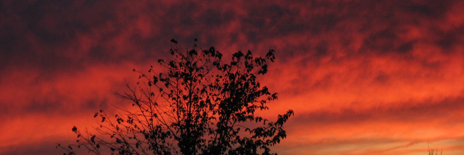 LD_Masterson's profile banner image