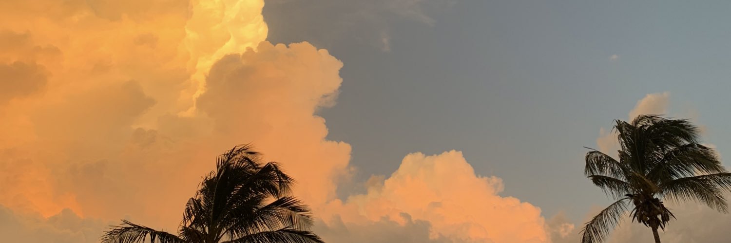 Luizcaner's profile banner image