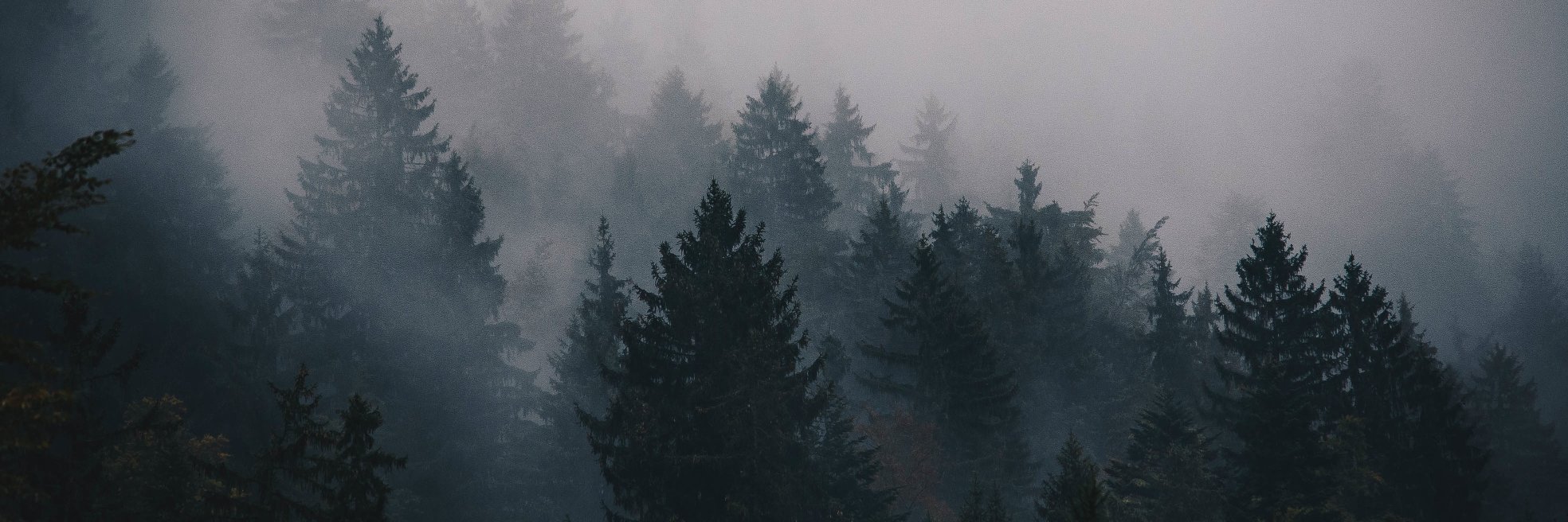 LukasJons's profile banner image