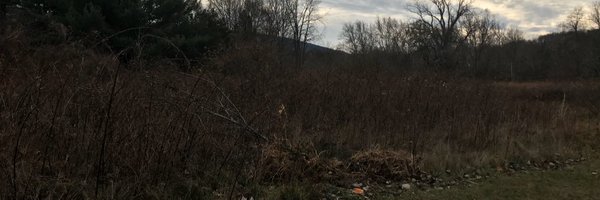 EnglishCreole Profile Banner