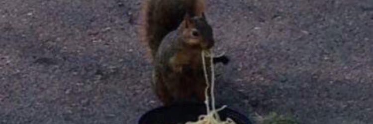 broccoligurl69's profile banner image