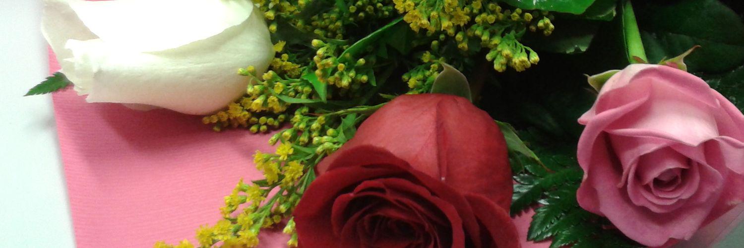Ainhoa Unzu banner
