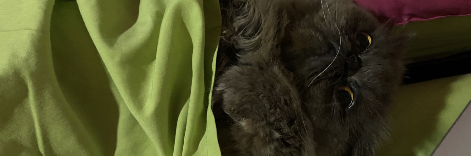 hausofjam's profile banner image