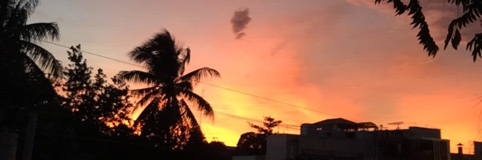 Thepy Shein In banner