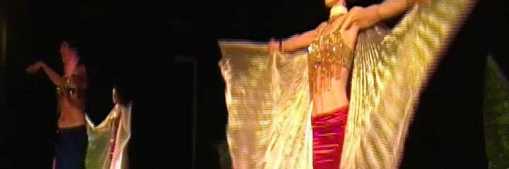 MicheleScanfer's profile banner image