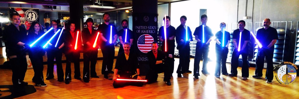 LudoSport Saber SF banner