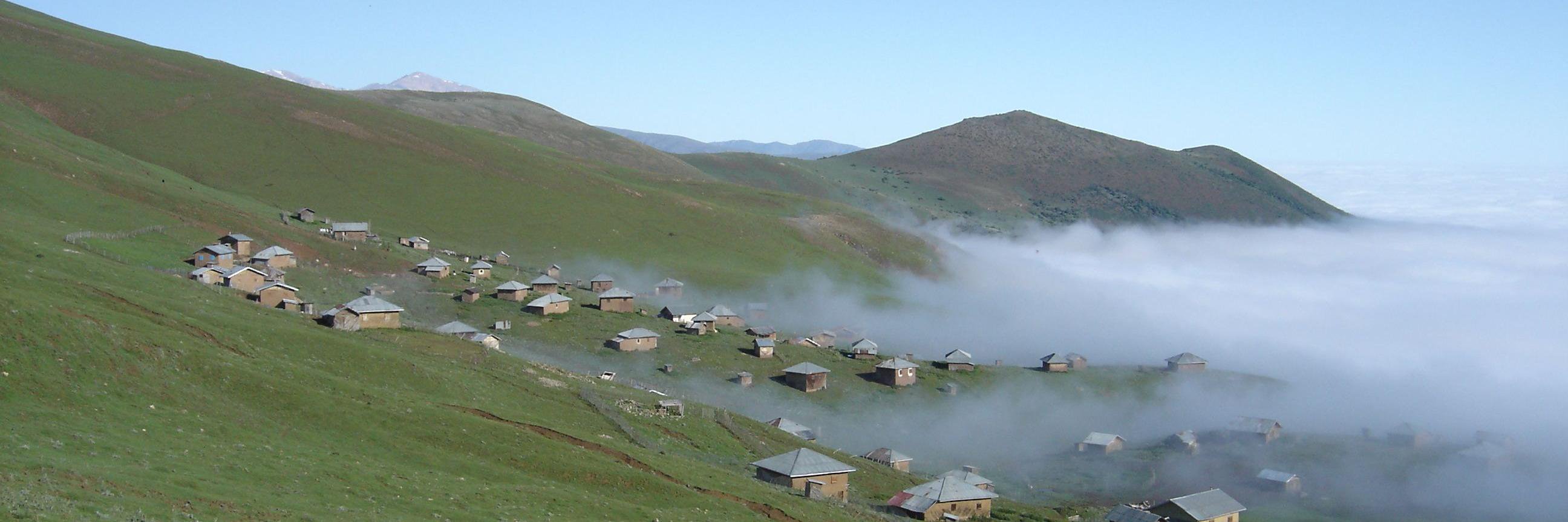 Armand Mostofi banner