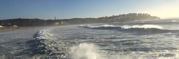 suzieforell Profile Banner