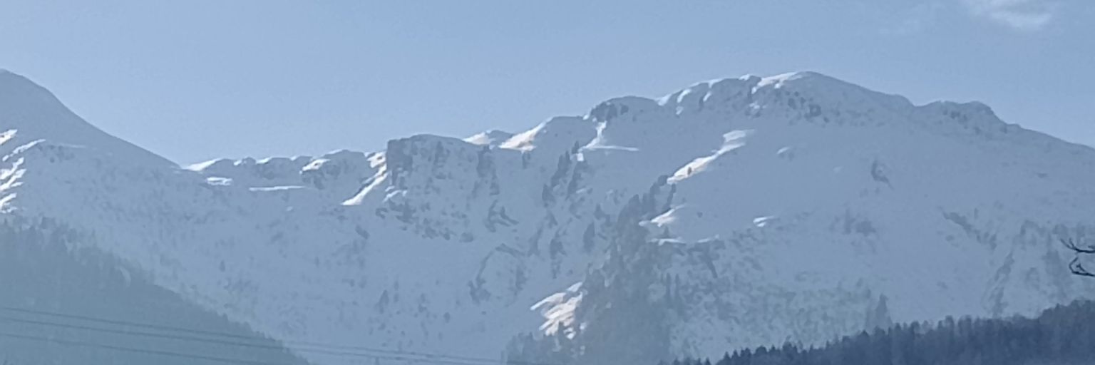durigonc's profile banner image