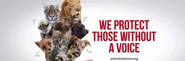 AnimalsLebanon Profile Banner