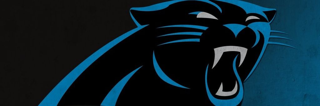 panther_ste's profile banner image