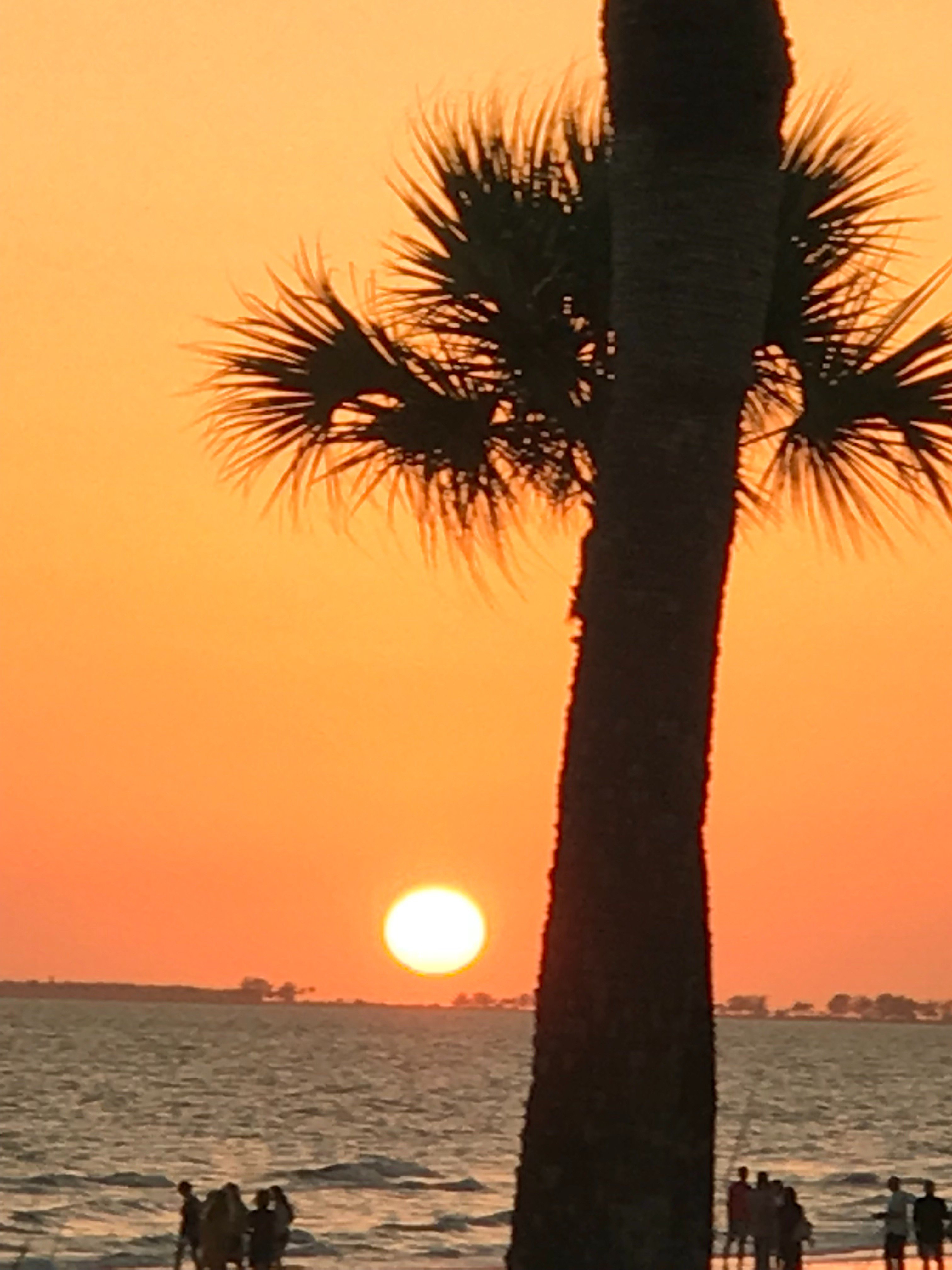 sbbumpas's profile banner image