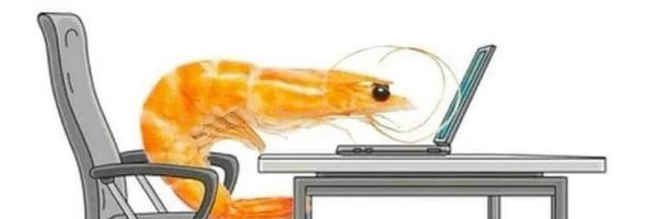 solcamaron Profile Banner