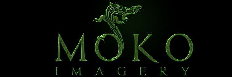 ExtremeScenes banner