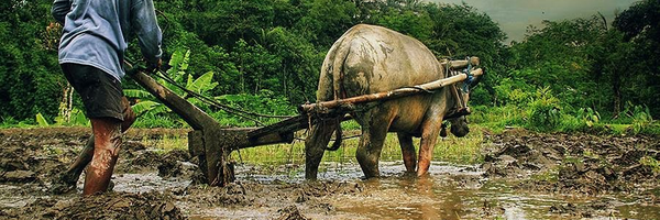 RamlanHsb Profile Banner