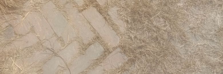 avasheshpuri's profile banner image