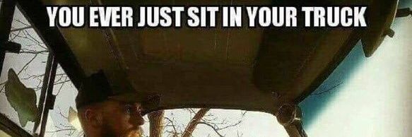 seel 🤎👼🪲 banner