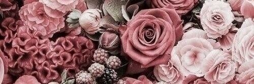 dida_rahmayani's profile banner image