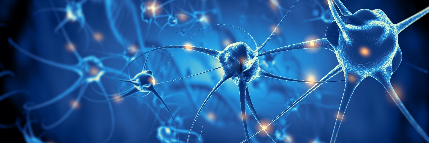 Jonathon Fanning banner