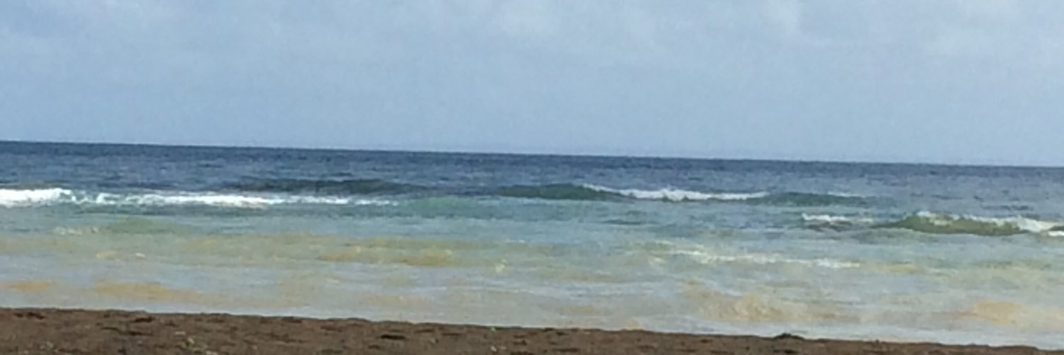 dontbeJELUs's profile banner image