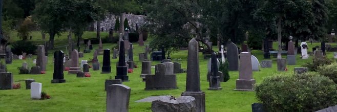 Dr. Claire Ferguson banner