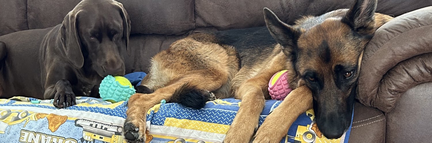 Snoozeies's profile banner image