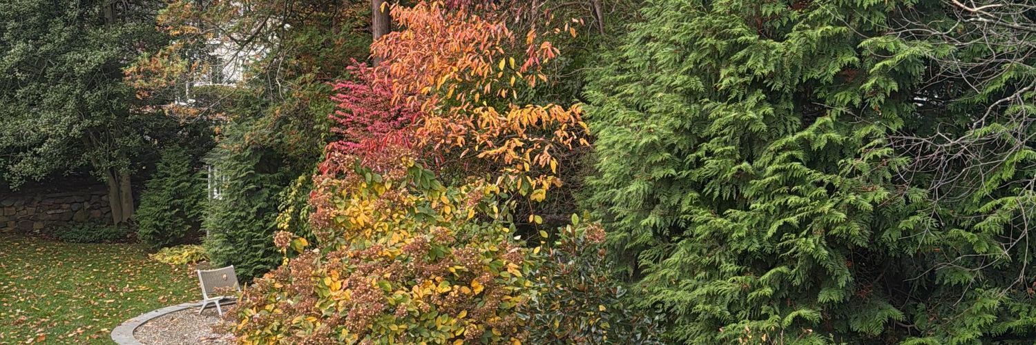 robschwrtz's profile banner image