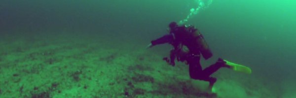 TheOpenSeas Profile Banner