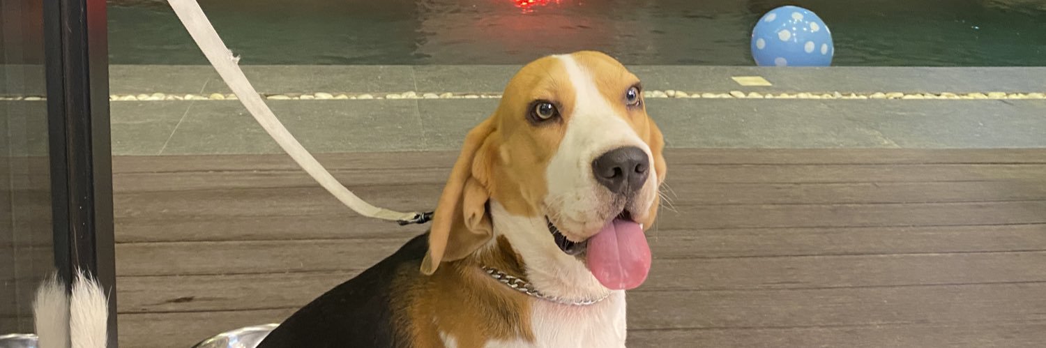 aeeyj_'s profile banner image