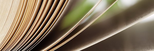SpringerLing Profile Banner