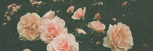 Trevenna__'s profile banner image