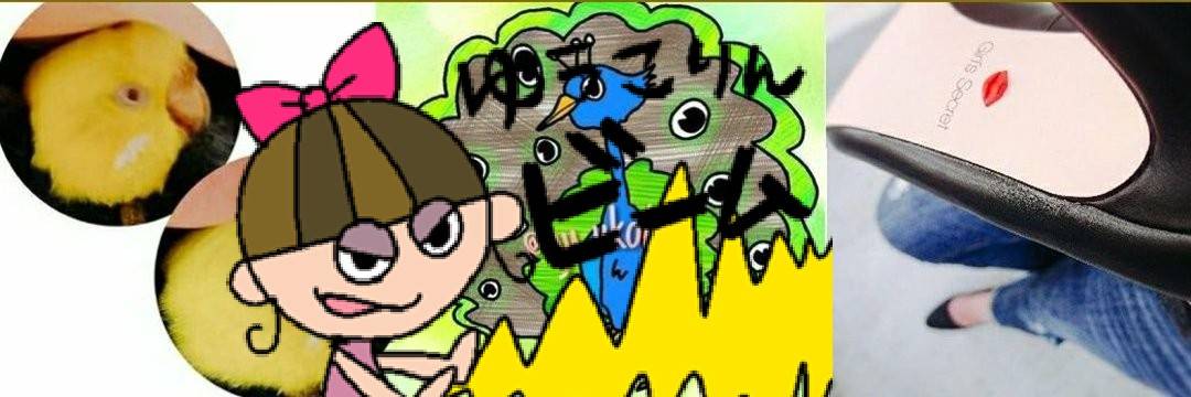 yu_ukokko's profile banner image