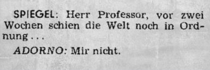 Vanessa Lechinger banner