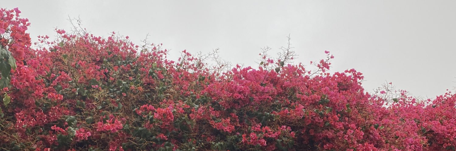محمد banner