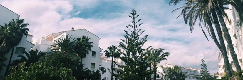 mayranavoni's profile banner image
