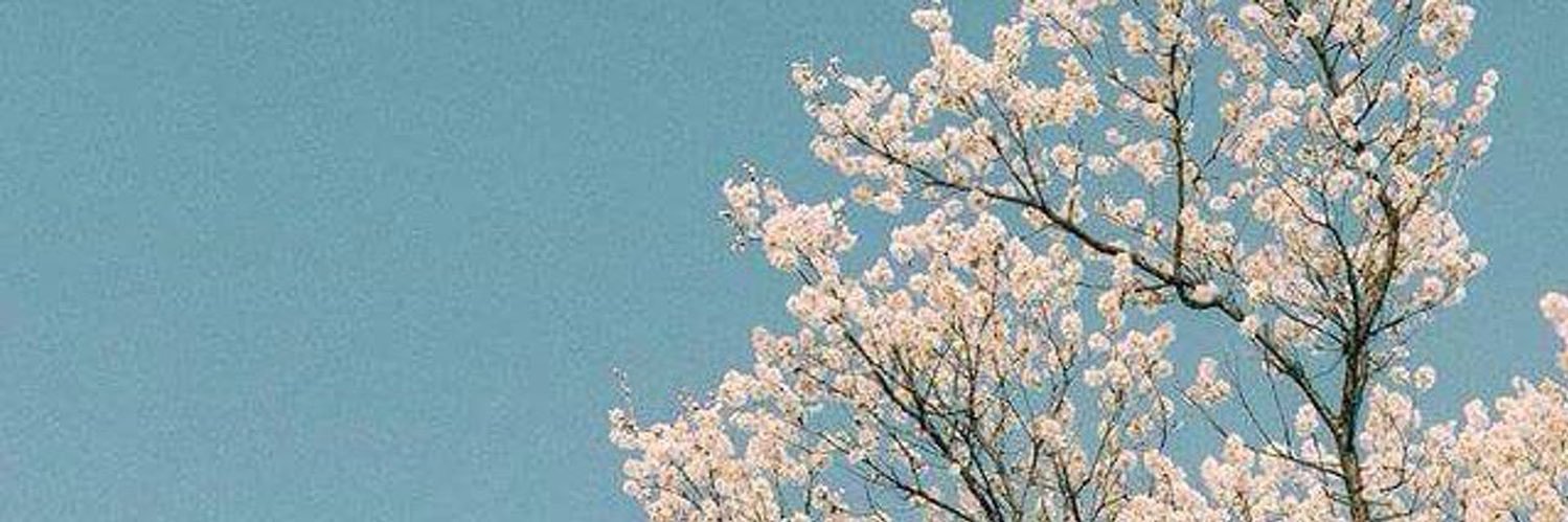chenkjd921's profile banner image