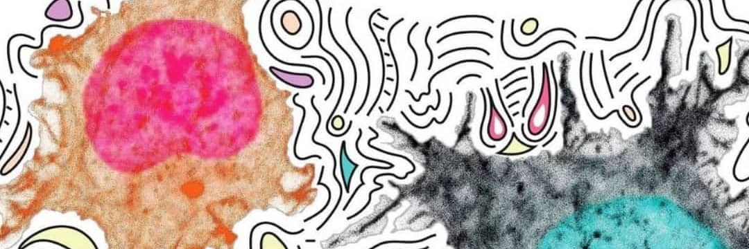 Dr. Sophie Morgani banner