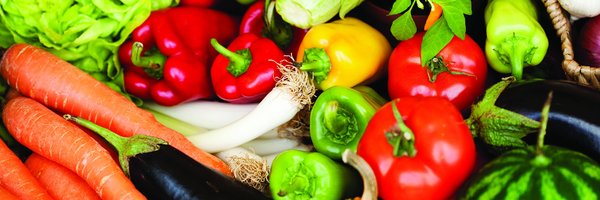 VSC_News Profile Banner