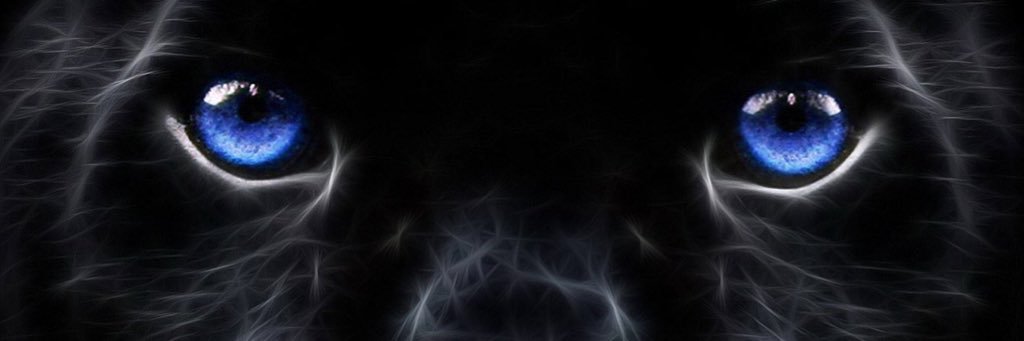 JZer0T's profile banner image