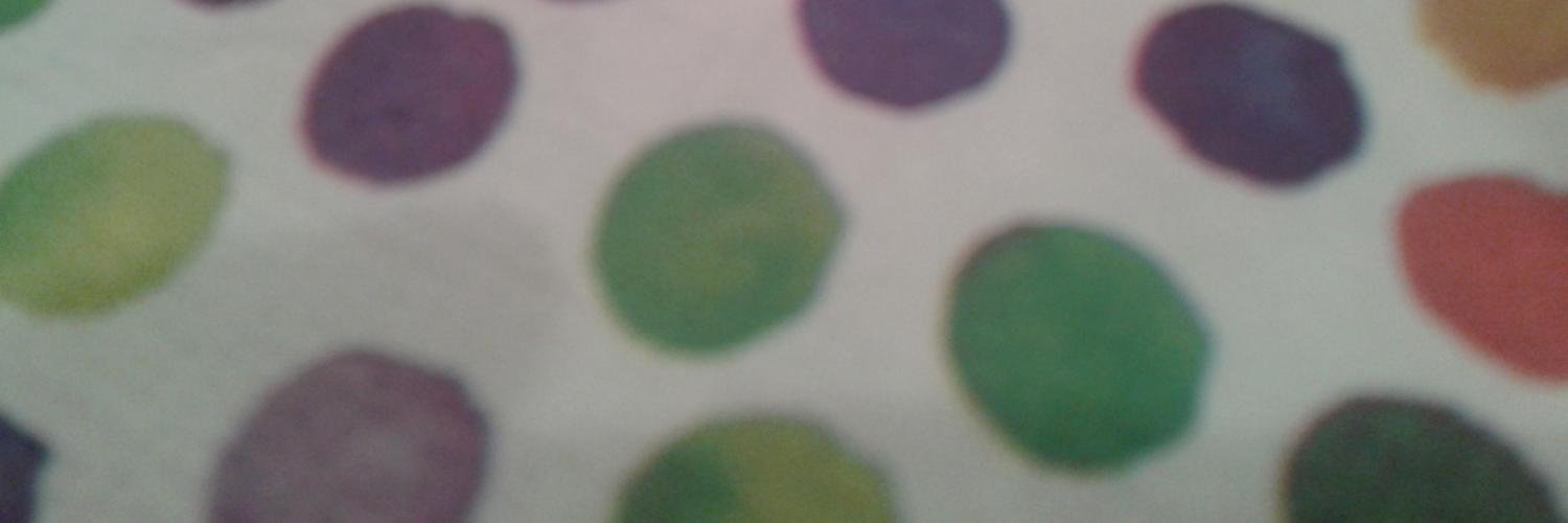 Raimon Pi banner