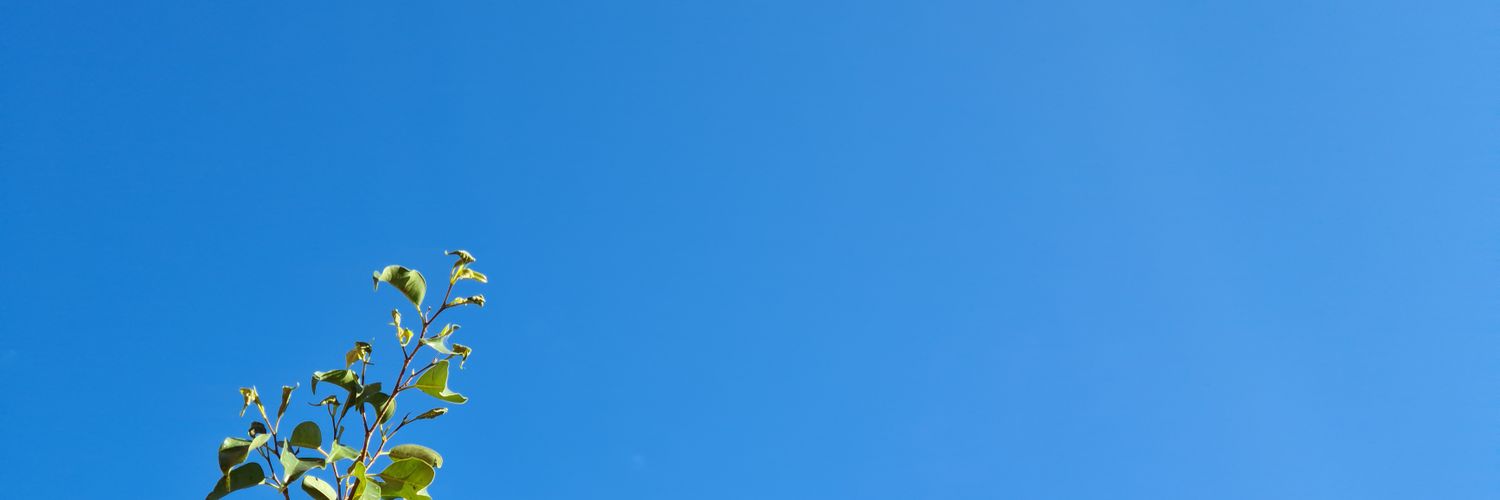 A_tuozzo's profile banner image