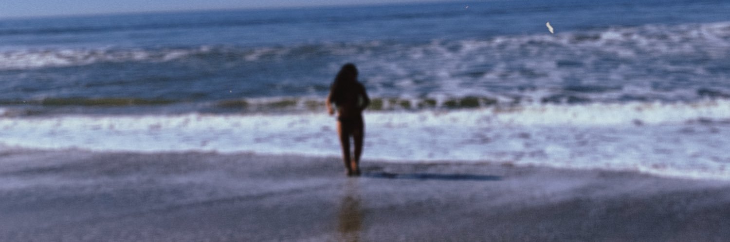 hererosegoes's profile banner image