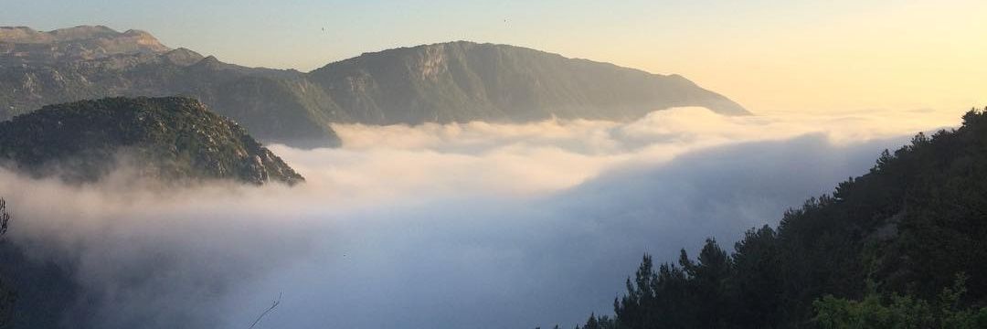 bouclesdefeu's profile banner image
