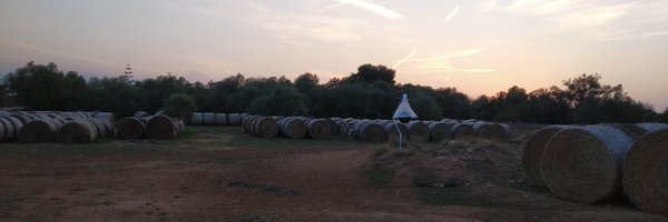 CarlosZooUIB Profile Banner