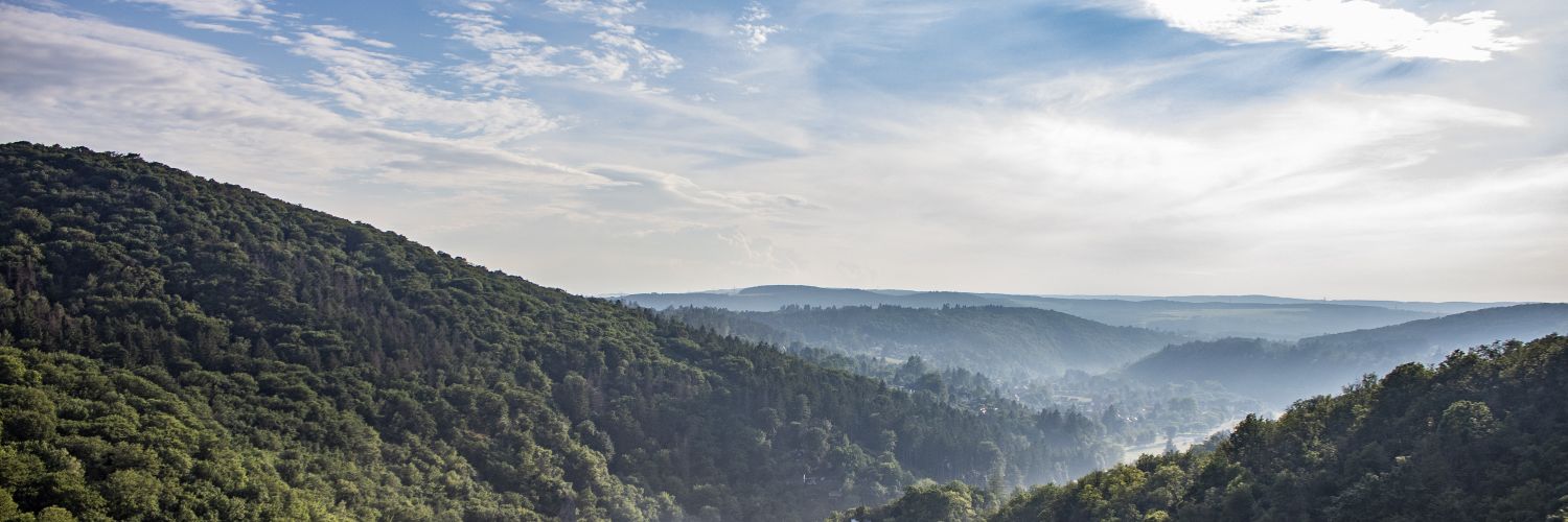 Marie Šůchová banner