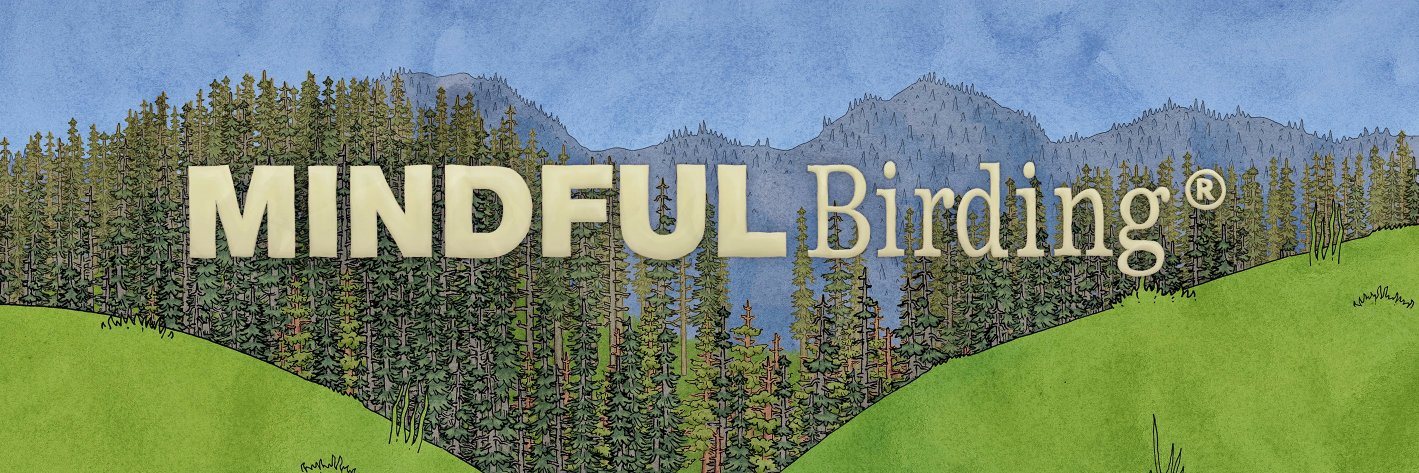 mindfulbirding's profile banner image