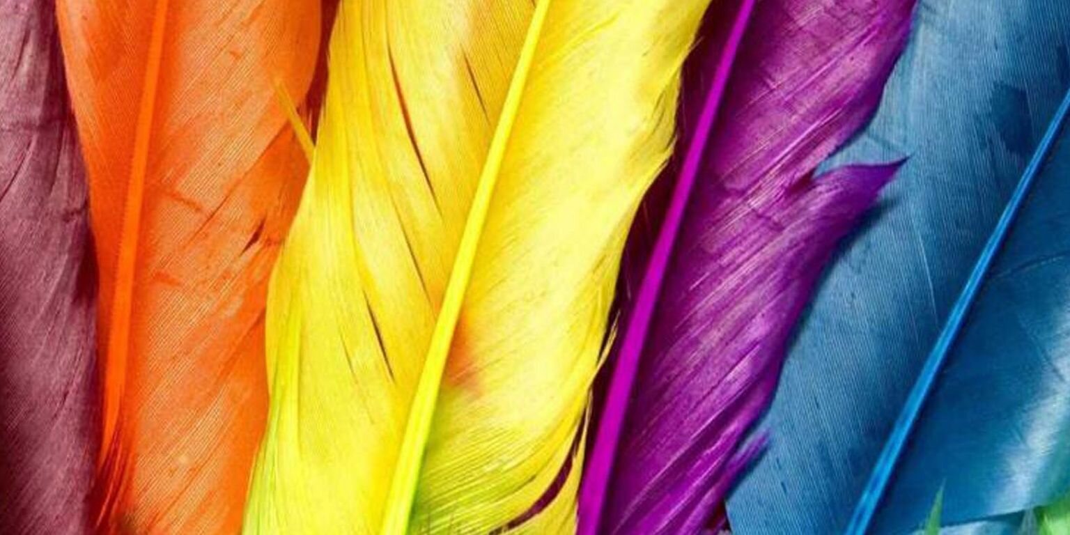elij2124's profile banner image