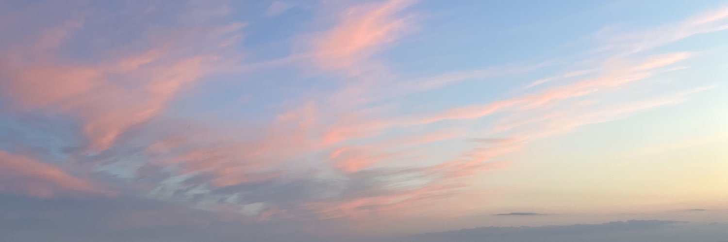davidlcapoo's profile banner image