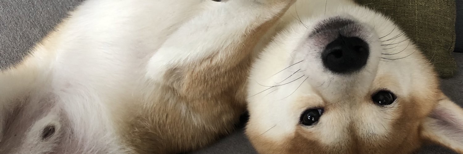 NikiY banner