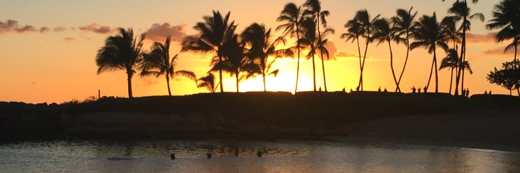 Maria Williams banner